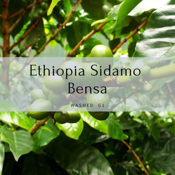 sidamo_bensa